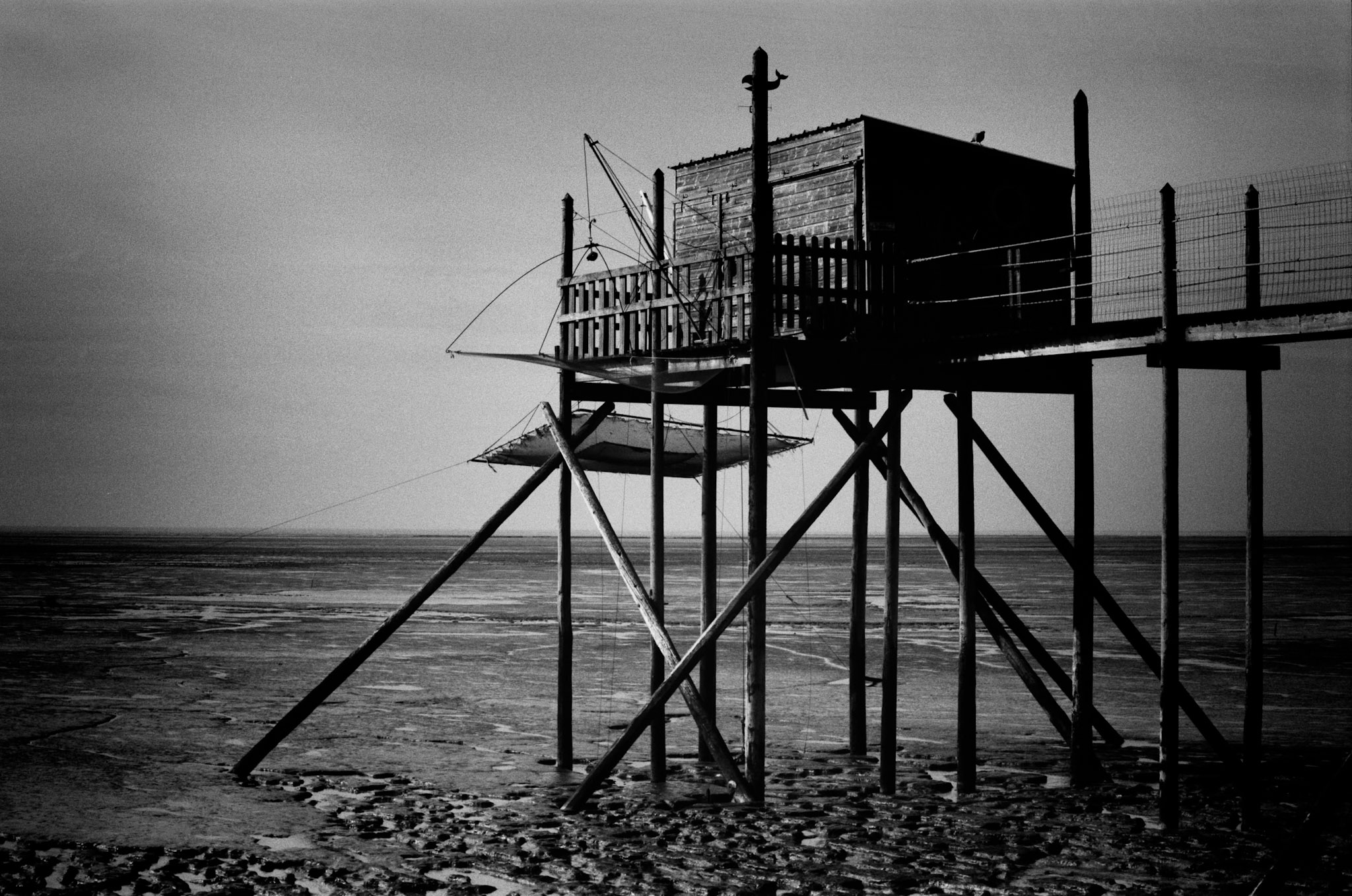 Minolta 7000 | Baie d’Yves - Le pigeon et la baleine