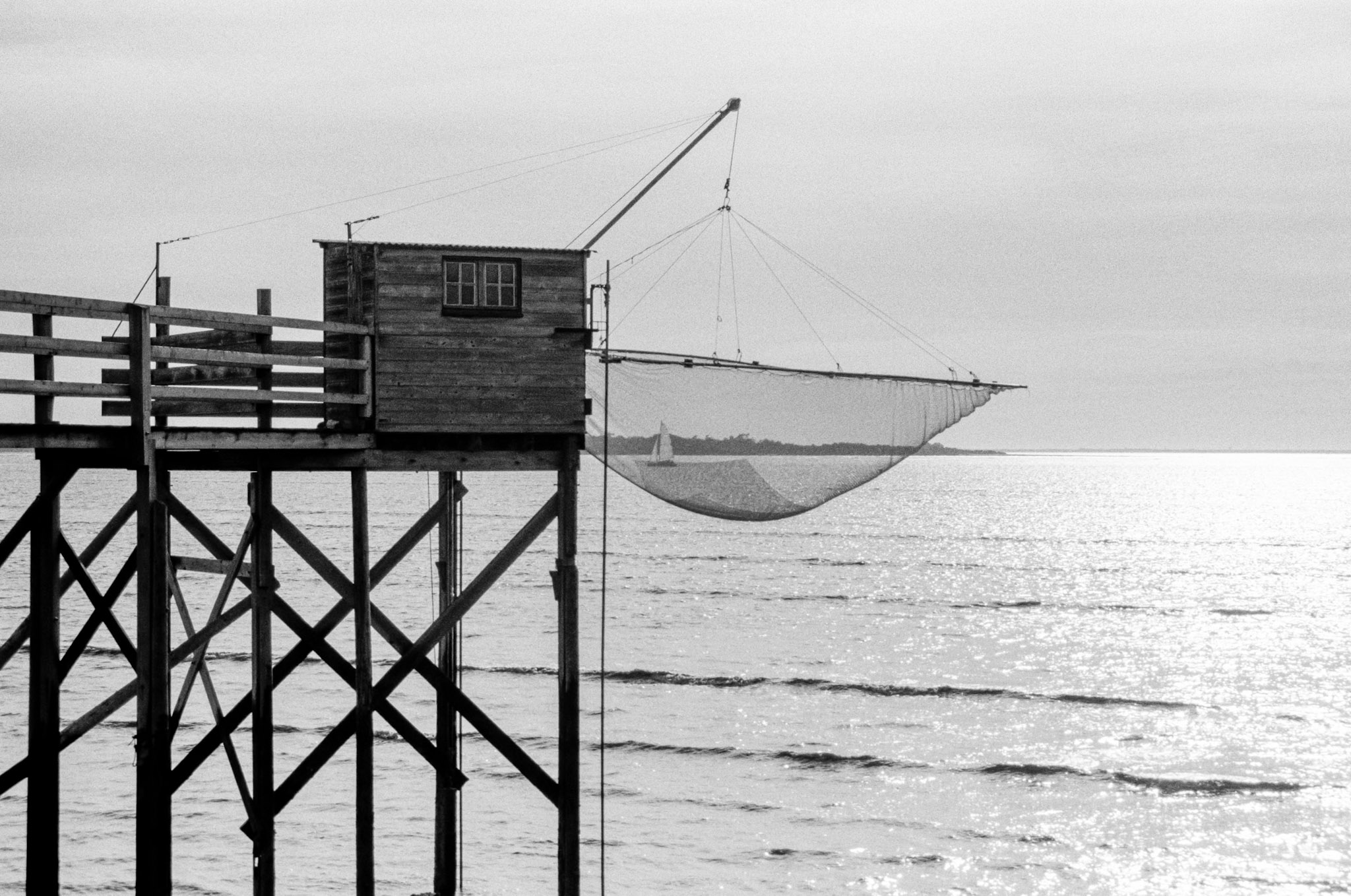 Minolta 7000 | Baie d’Yves - Pris dans le filet&nbsp;!!!
