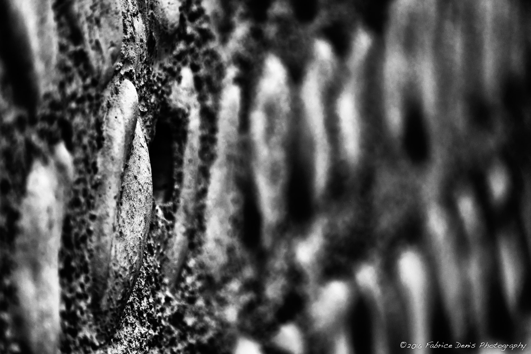 Fujifilm X-Pro1 | Châtelaillon - Atelier Photo-Balades - Exercice sur le DOF