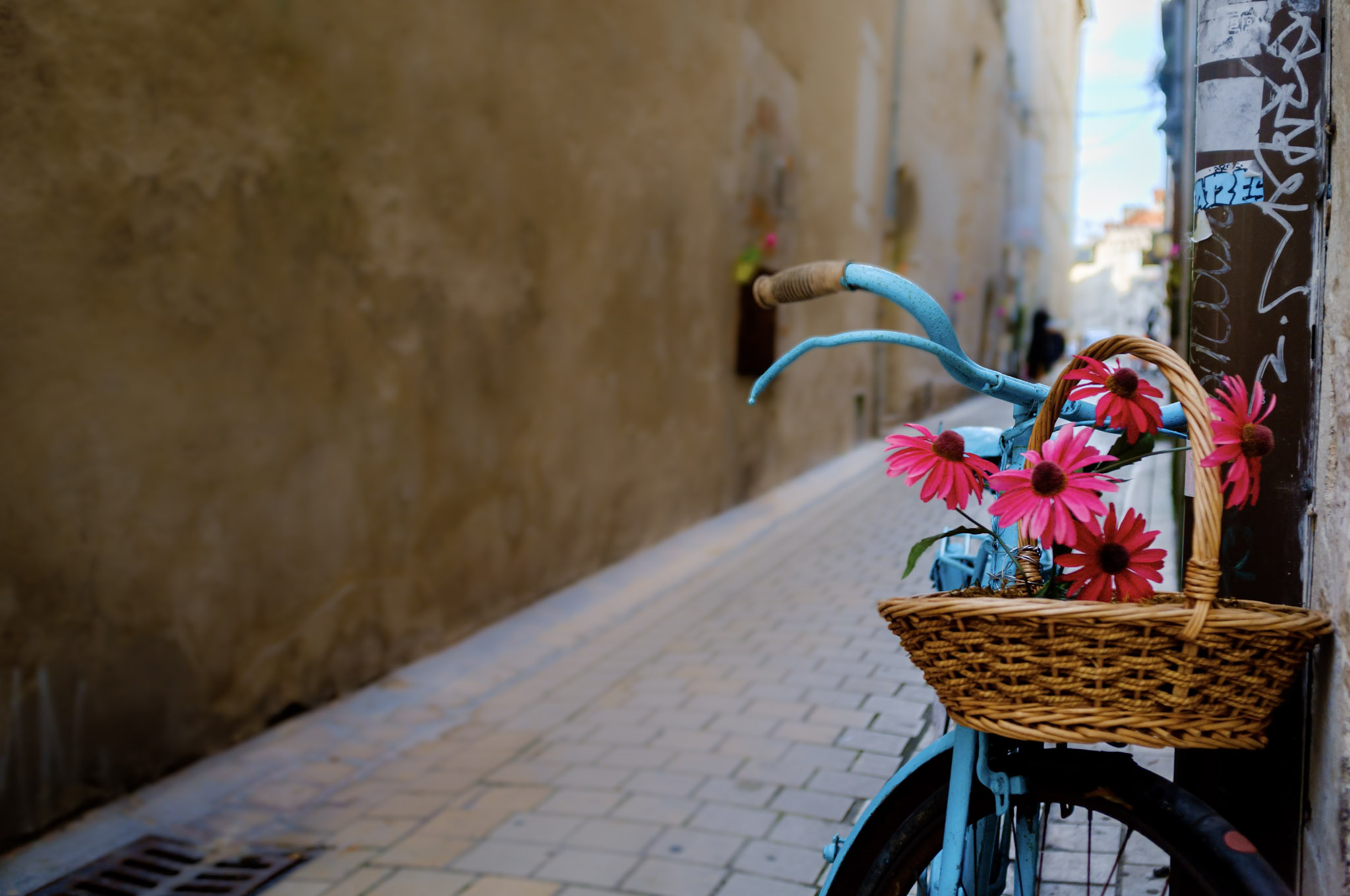 Fujifilm X100 | La Rochelle - Rue des Mariettes - Le panier de Marguerites