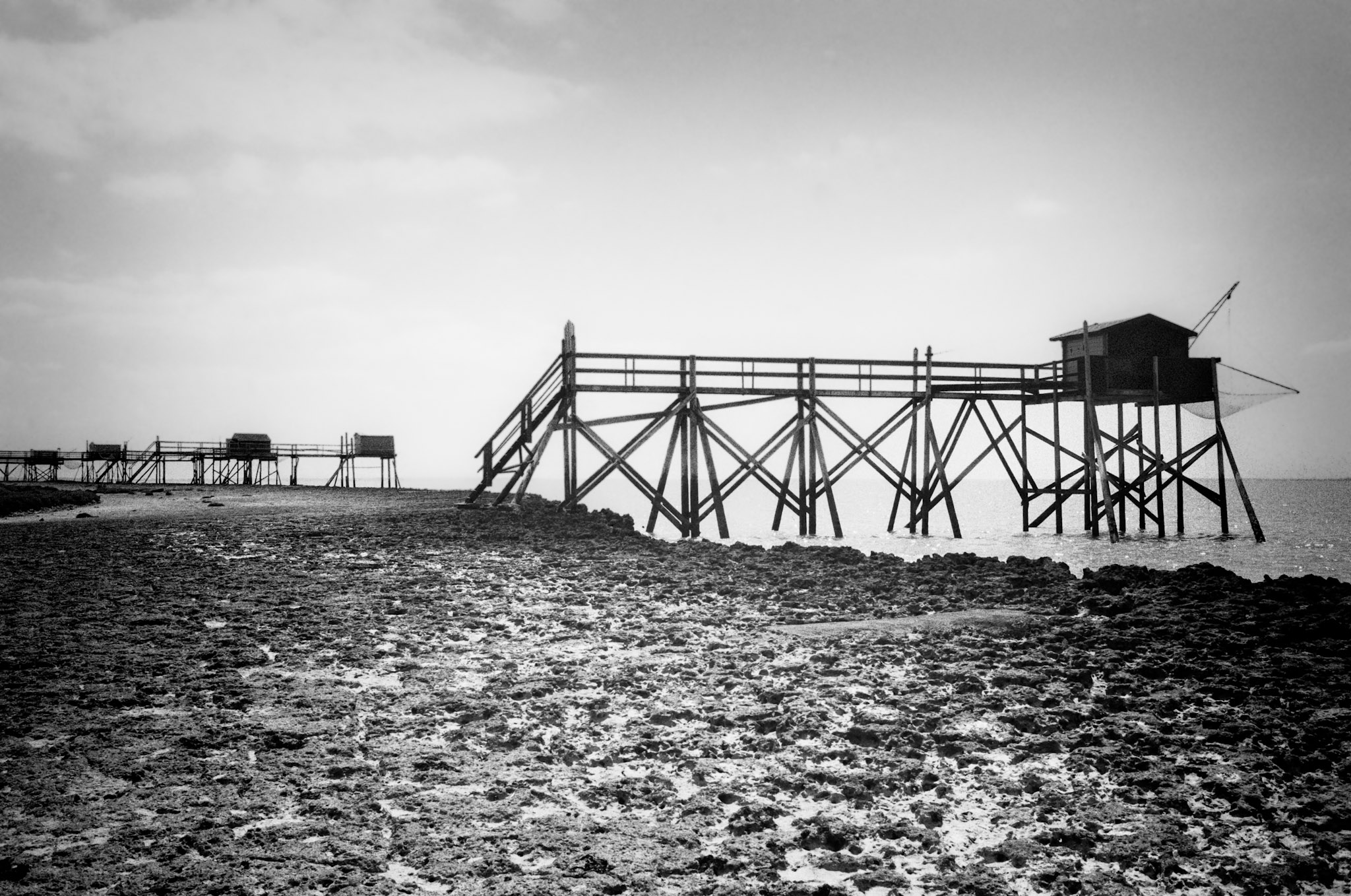 Nikon F100 | Île Madame - Multiplication...