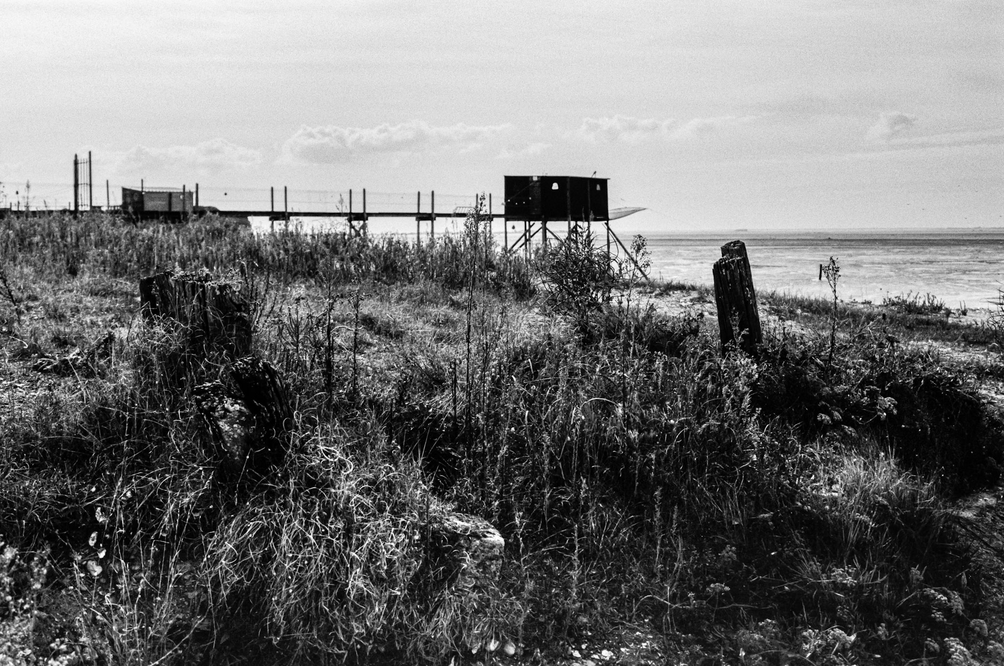 Minolta 7000 | Baie d’Yves - La beauté de l’abandon